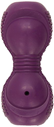 BUSY BUDDY SqueakNTrt Ooga Lg