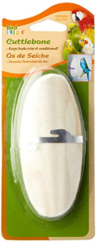 PPX Bird Cuttlebone Med