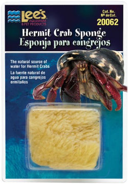 LEE Hermit Crab Sponge