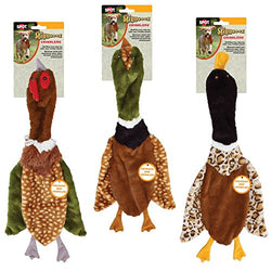 ETH Skinneez Crklr Brd Asst 23"