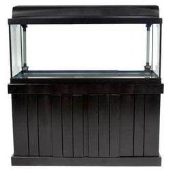 MLD Majesty Stand Black 48x24