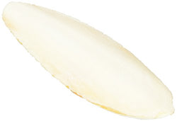 ZOOMED Turtle Bone 2 pack