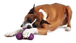 BUSY BUDDY SqueakNTrt Troog Lg