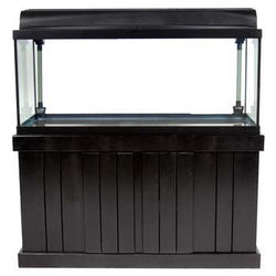 MLD Majesty Stand Black 72x24