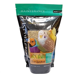 ROUDY Nibles Maintenance 22oz