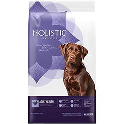 Holistic Radiant Chick Dog 15lb