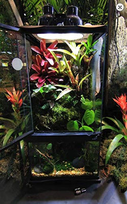 ZOOMED Paludarium Habitat Kit