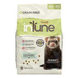 HIG InTune Ferret 4lb