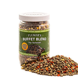 Tortoise Buffet Blend 12.5oz  /