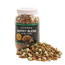 Box Turtle Buffet Blend 6.5oz /