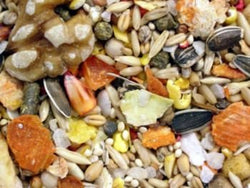 HIG Sunburst Ham 25lb