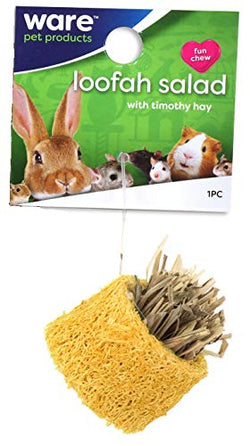 WARE Loofah Salad