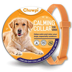 LEE Kritter Krawler Gt Clear