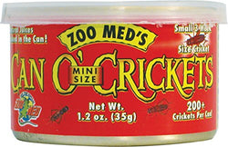 ZOOMED Rept Can O Cricket Mini