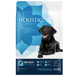 Holistic Radiant Fish Dog 15lb