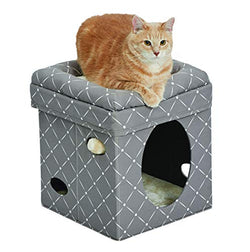 MW Cat Cube- Mushroom