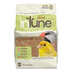 HIG InTune Canary Finch 2lb