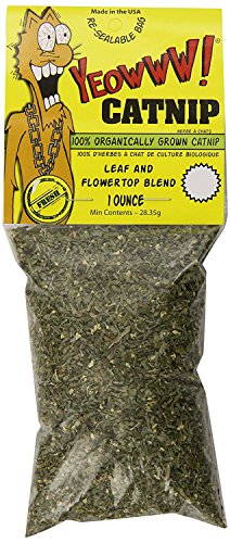 YEOWWW Catnip Bags 1oz
