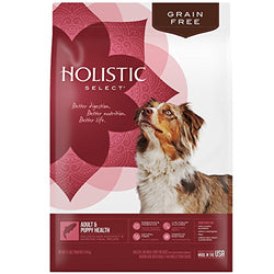 HS Dog Ad Pup GF Salmon 12lb