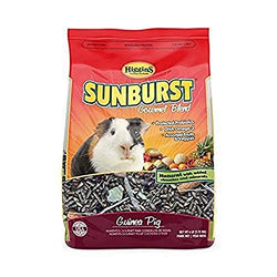 HIG Sunburst Guinea Pig 6lb