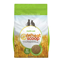 Swheat Multi Cat Litter 36lb