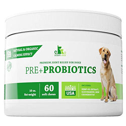 OH Invincible Pig Mini