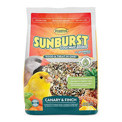 HIG Sunburst Canary Finch 2lb