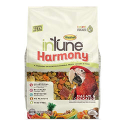 HIG InTune Harmony Macaw 3lb