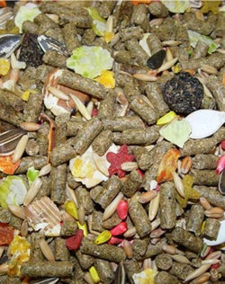 HIG Sunburst GP 25lb